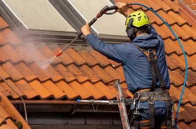 Démoussage et hydrofuge de toiture à Murols